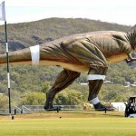 Photo Credit: Sunshine Coast Daily