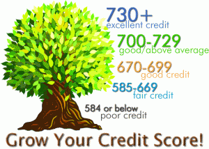 Photo Credit: How to improve credit score
